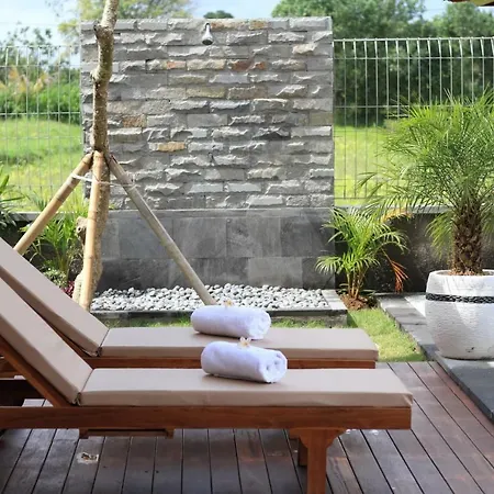 Private Pool Villa - Villa Saia Ubud Buitenkant foto