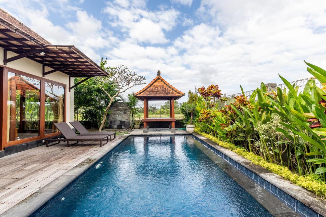 Private Pool - Saia Ubud