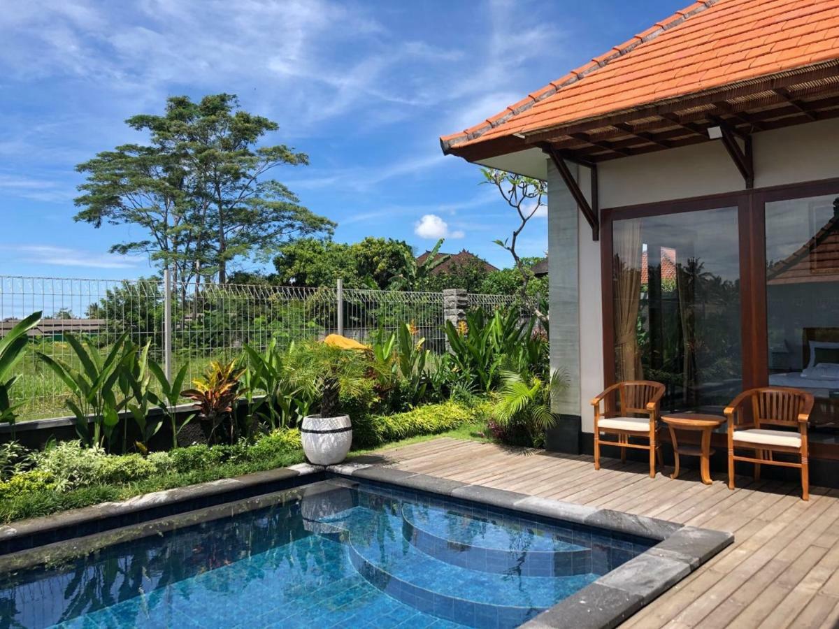 Private Pool - Saia Villa Ubud